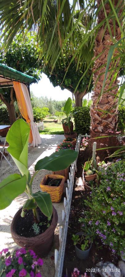 Eirini House 3 Apartment คานาลี ภายนอก รูปภาพ